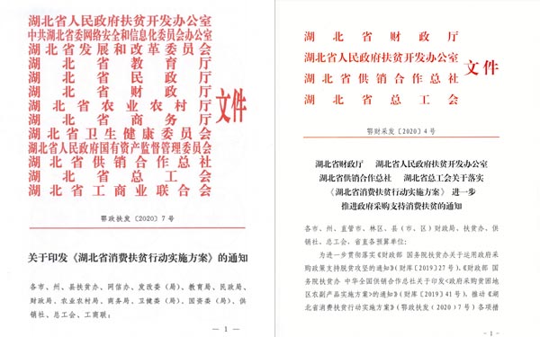 13-拷贝.jpg