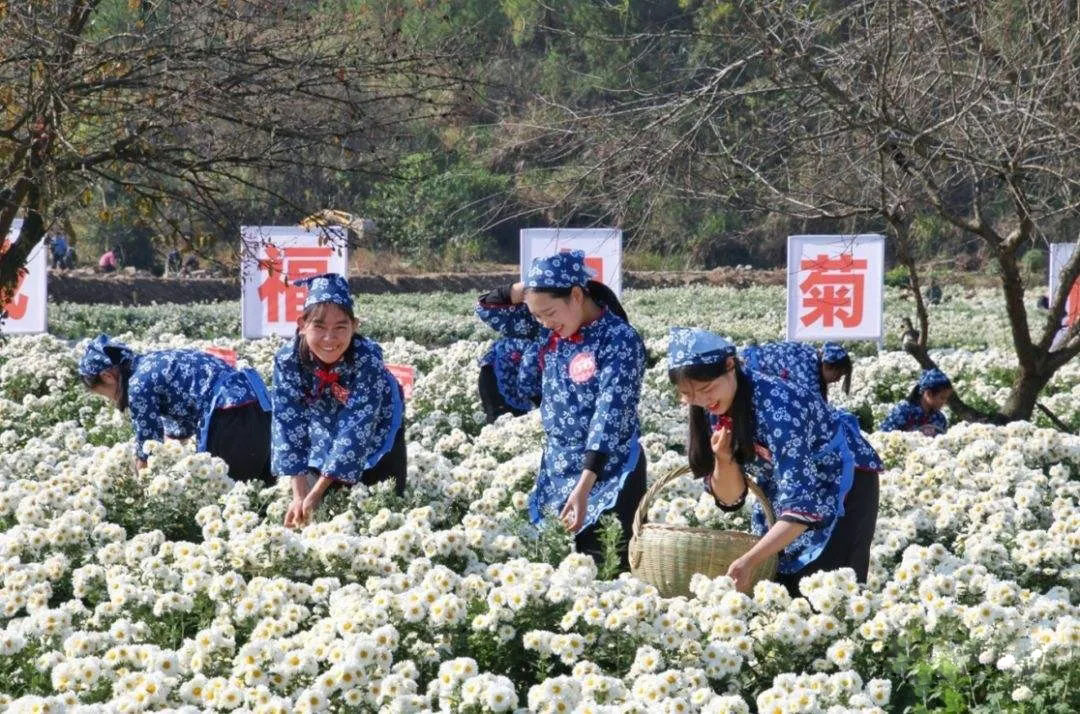 640.webp-(1).jpg